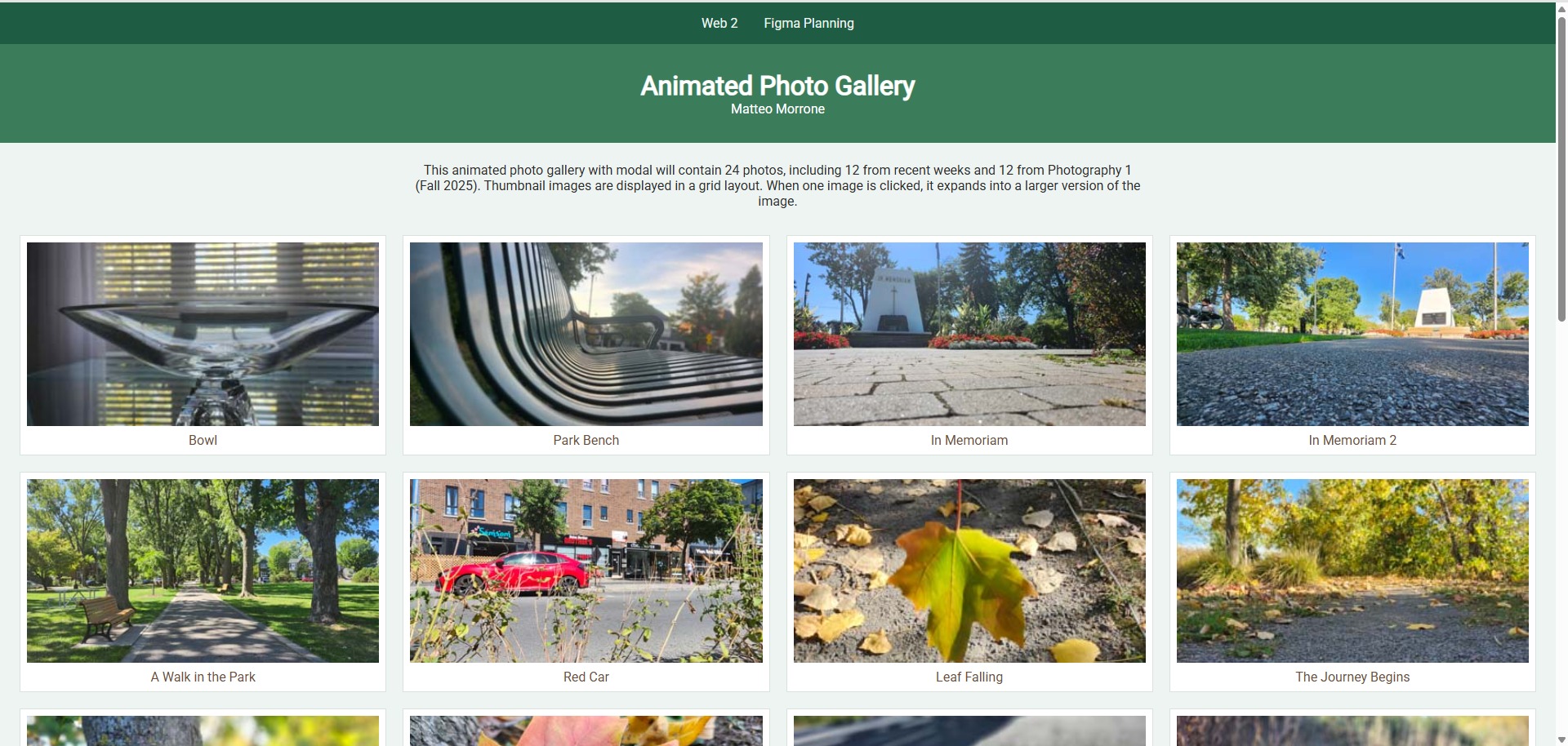 Thumbnail preview of Project 1 photo gallery